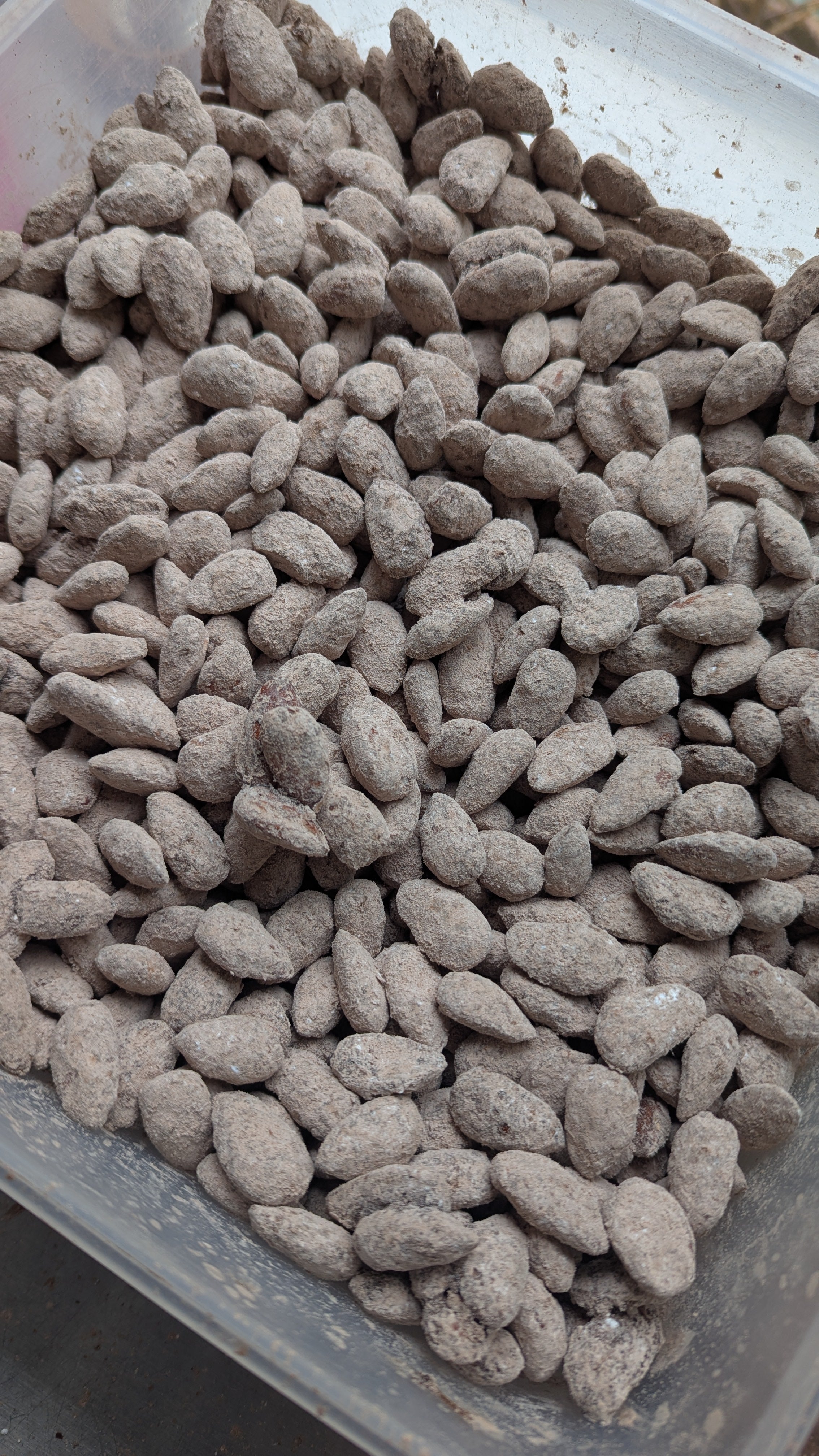 Maple Roasted Dark Chocolate Almonds